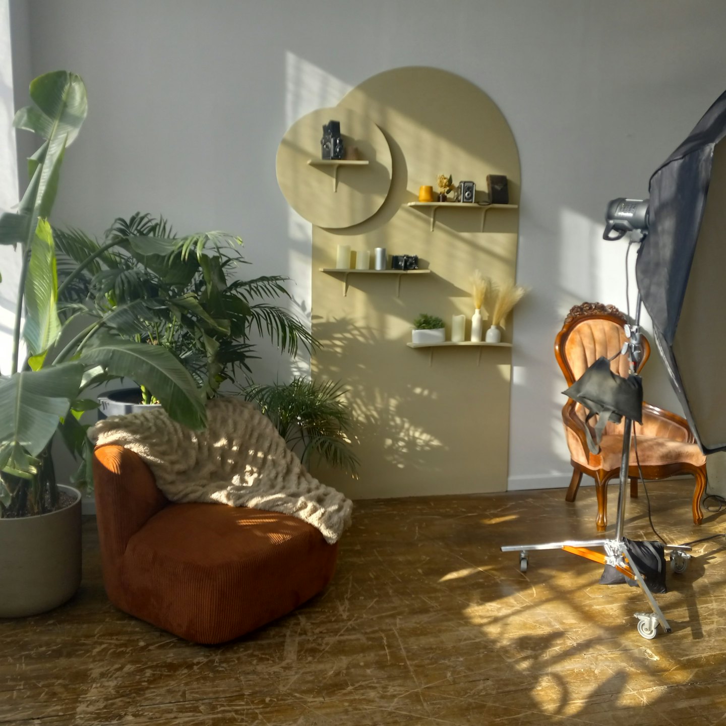 Studio fotografico con poltrona, piante e macchine fotografiche d'epoca.